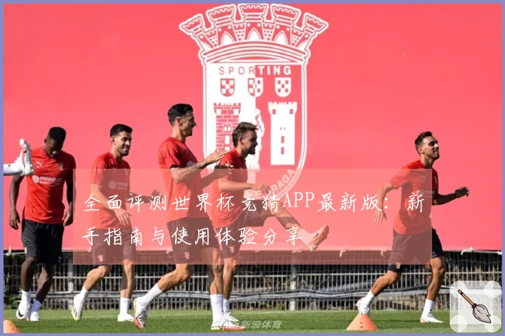 全面评测世界杯竞猜APP最新版：新手指南与使用体验分享