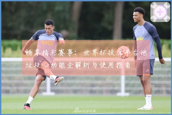 畅享精彩赛事：世界杯投注平台地址核心功能全解析与使用指南