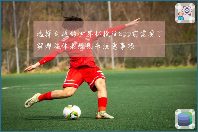 选择合适的世界杯投注app前需要了解哪些体彩规则和注意事项