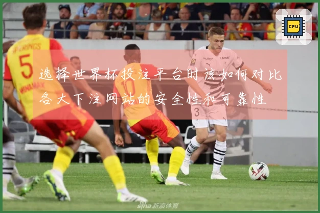 选择世界杯投注平台时该如何对比各大下注网站的安全性和可靠性