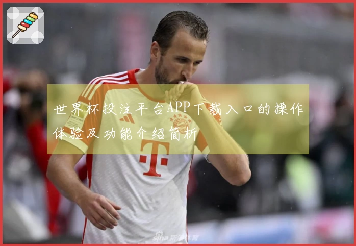 世界杯投注平台APP下载入口的操作体验及功能介绍简析