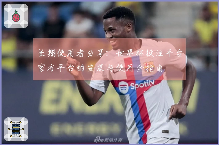 长期使用者分享：世界杯投注平台官方平台的安装与使用全指南