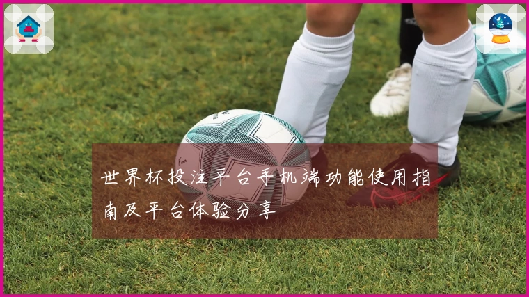 世界杯投注平台手机端功能使用指南及平台体验分享
