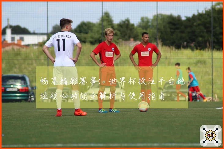 畅享精彩赛事：世界杯投注平台地址核心功能全解析与使用指南